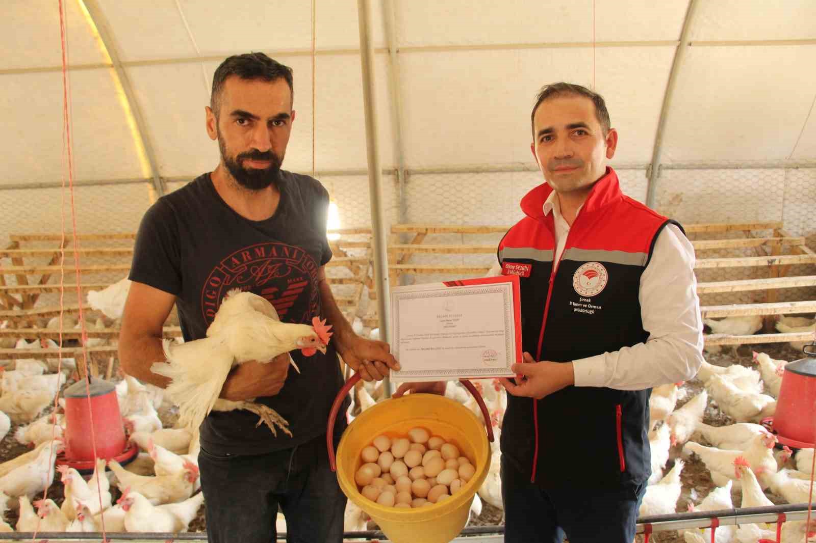 30 tavukla başladığı işletmesinde bin 700 tavuğa ulaştı 