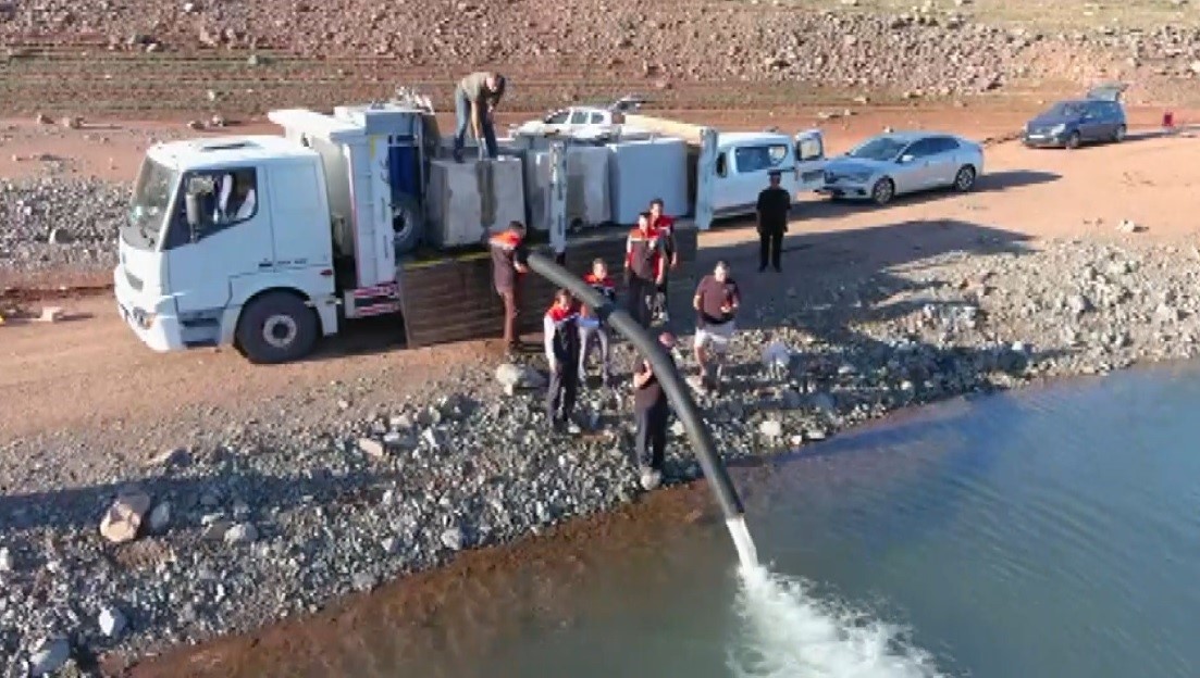 Erzincan’da Göyne Barajına 200 bin yavru sazan balığı bırakıldı 