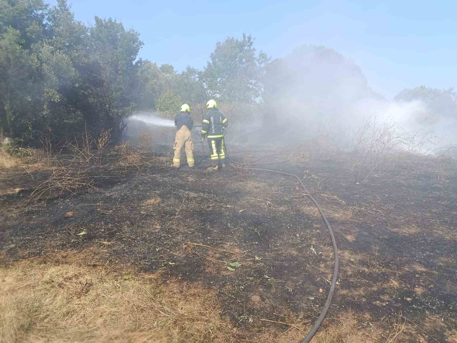 Erdek’te zeytinlik ve otluk alanda çıkan yangın söndürüldü 