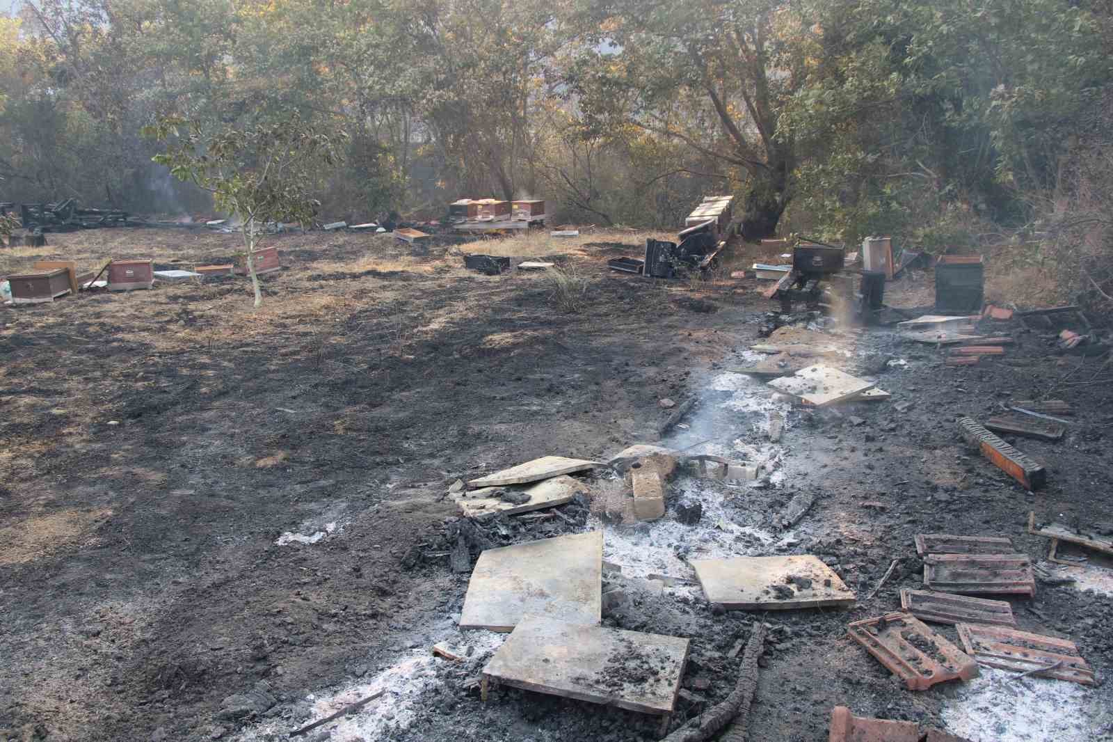 Çanakkale’deki orman yangınında arı kovanları alevlere teslim oldu 