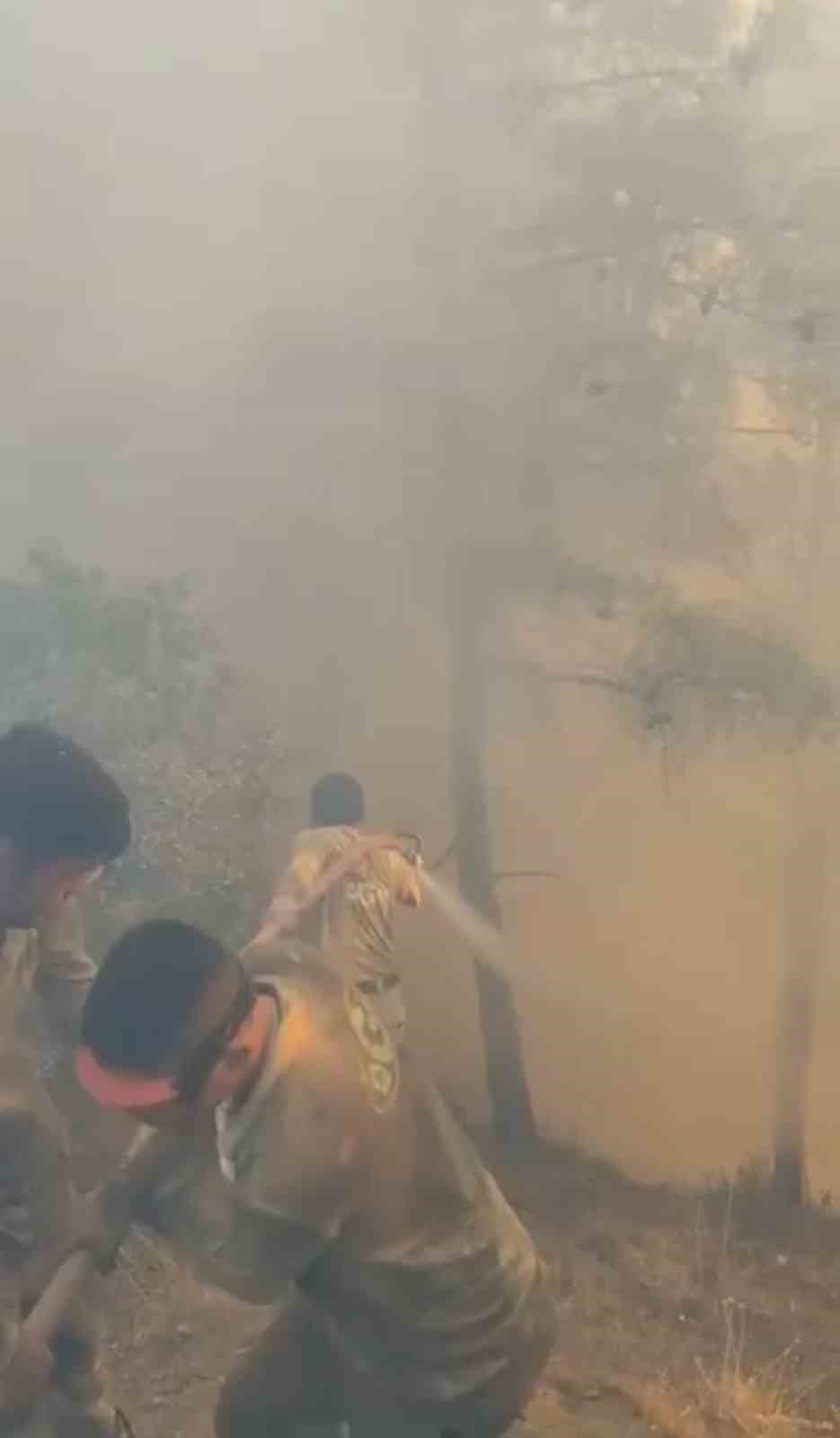 Çanakkale’de alev savaşçılarının zorlu mücadelesi kamerada 