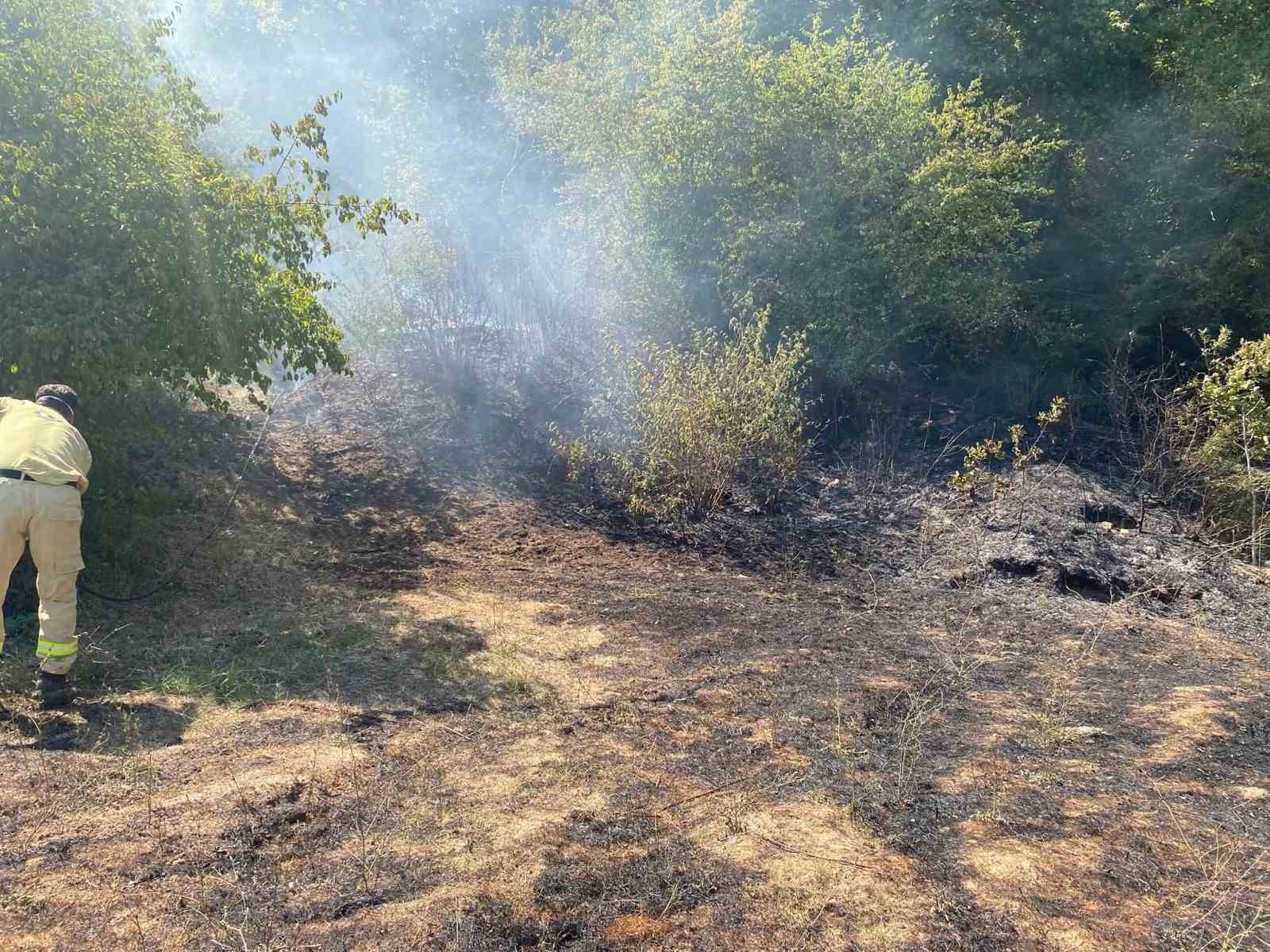 Kırklareli’de orman yangını 