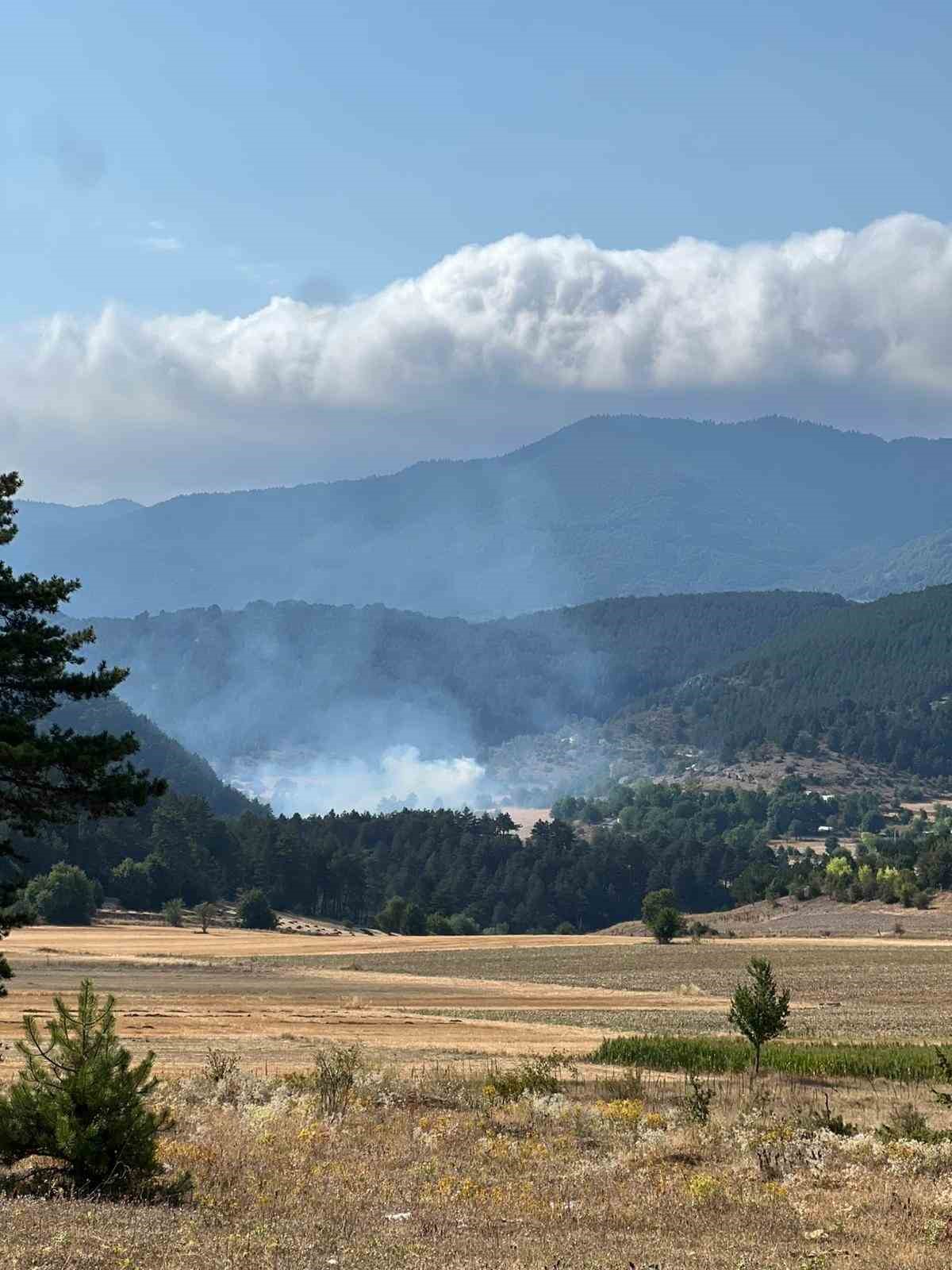 Bolu’da ormanlık alanda çıkan yangın kontrol altına alındı 