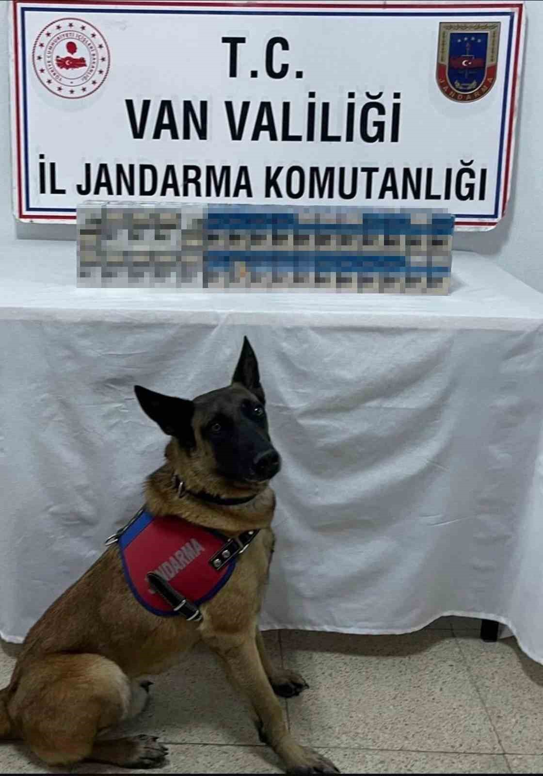 Van’da bin 778 paket kaçak sigara ele geçirildi 
