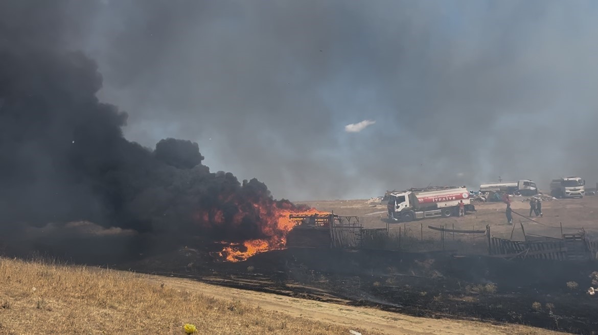 Tekirdağ’da besi çiftliğinde yangın 