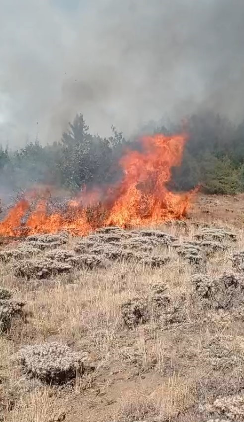 Gümüşhane’de çobanın yaktığı ateş yangına sebep oldu 
