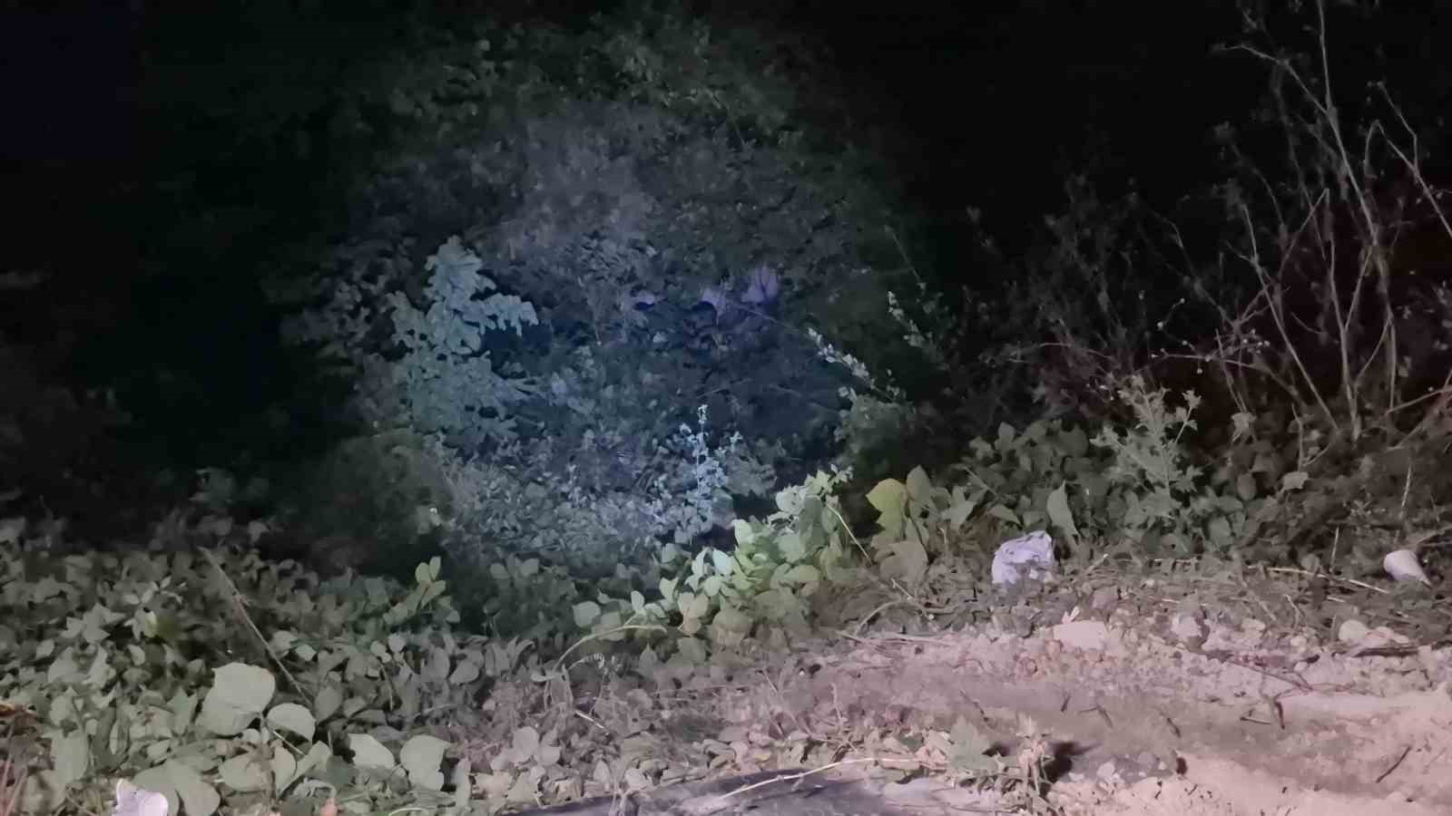 Bolu Dağı’nda frenleri boşalan minibüs uçuruma yuvarlandı: 1 yaralı 