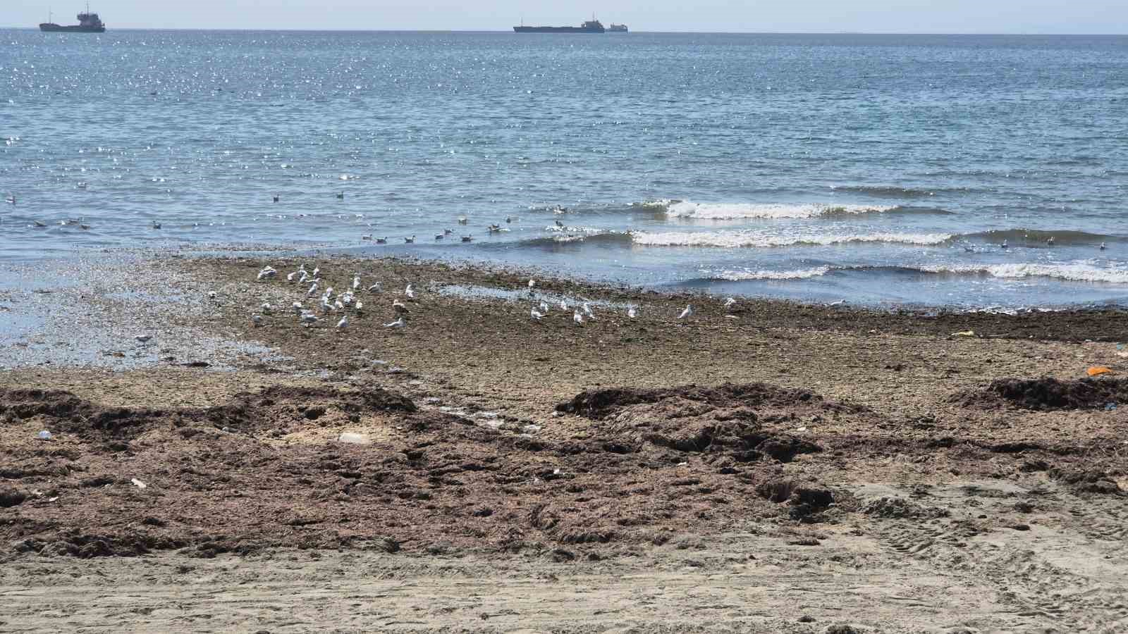 Tekirdağ’da deniz adeta kara toprak parçasına dönüştü 