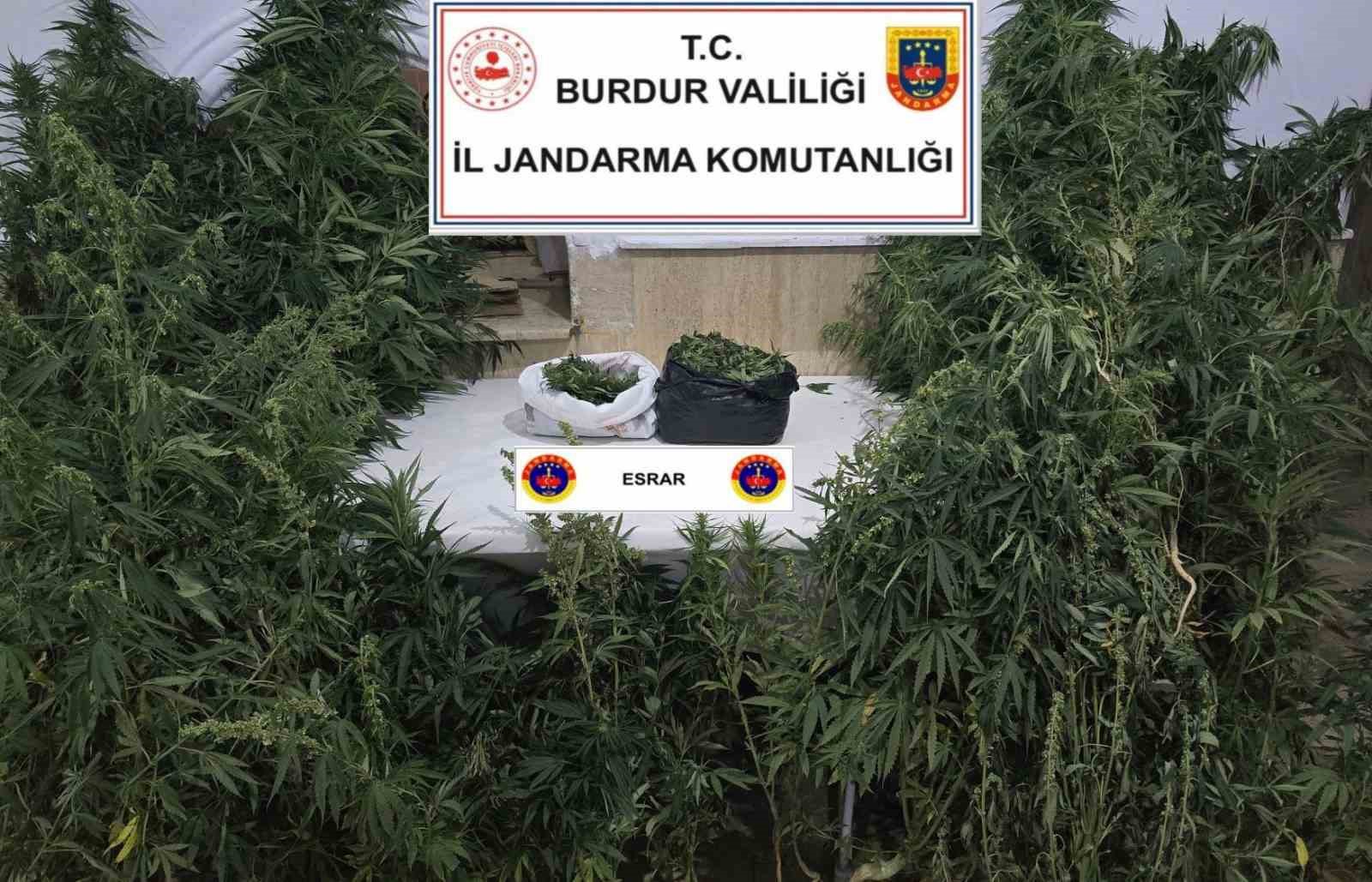 Burdur’da uyuşturucu operasyonu: 1 tutuklama 