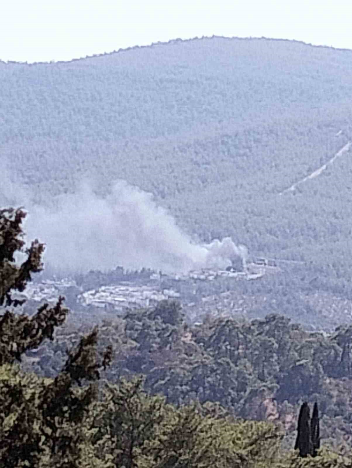 Yangın ormana sıçramadan söndürüldü 