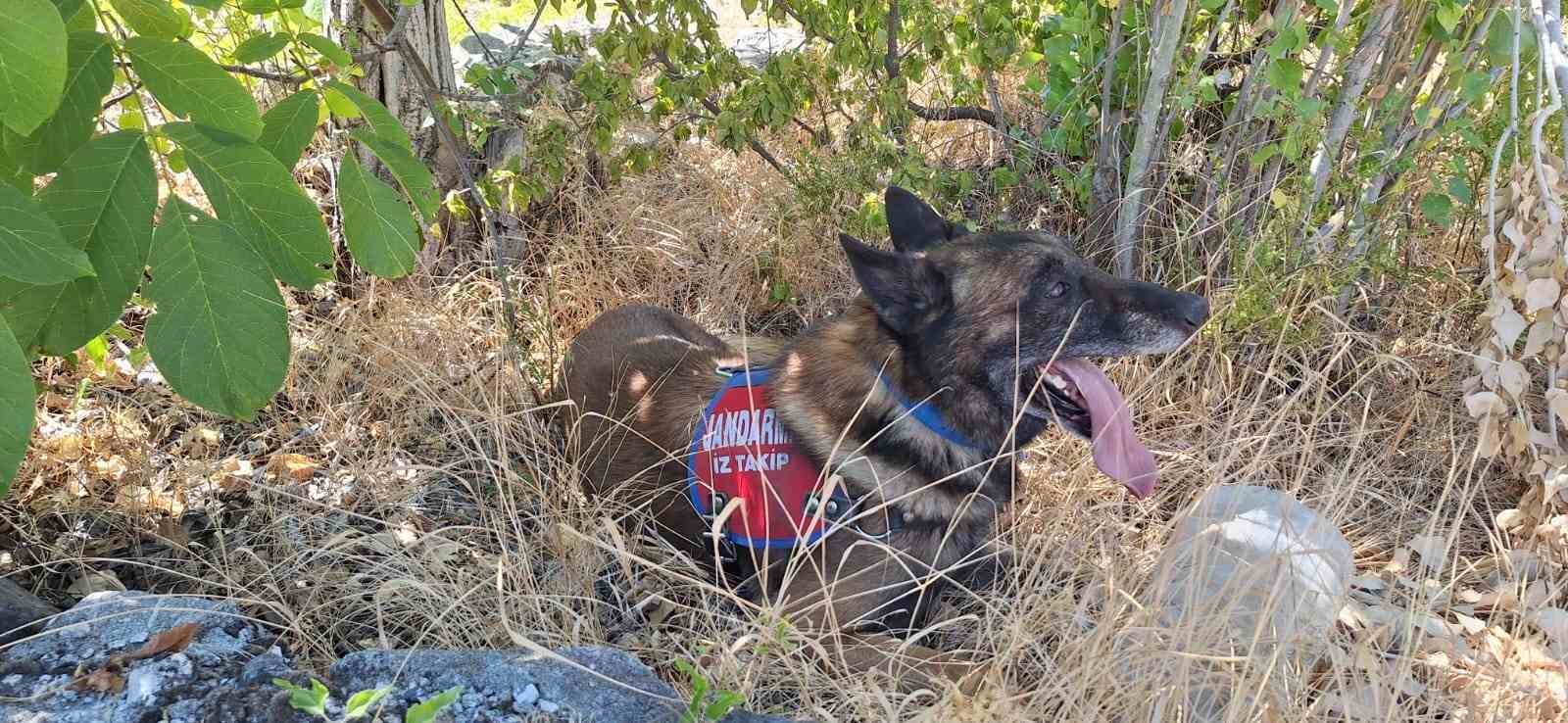 5 gündür aranan yaşlı adamın son görüntüleri ortaya çıktı 