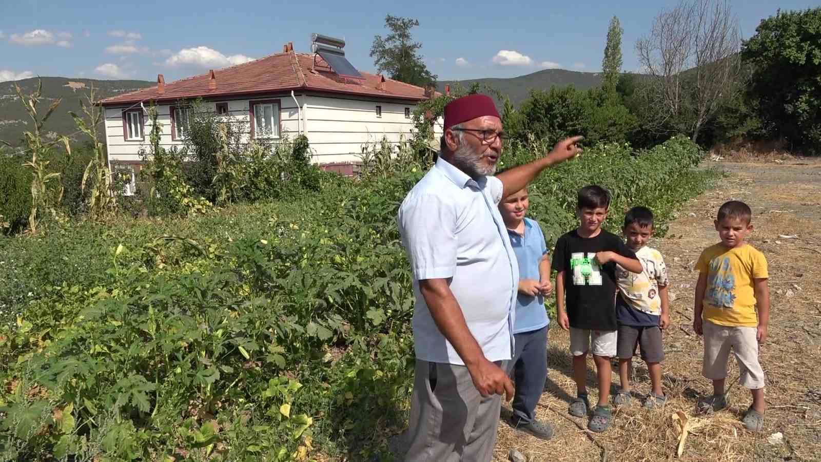 Amasyalı çiftçiden aç kalan tilkilere pasta, kirpilere fıstık 