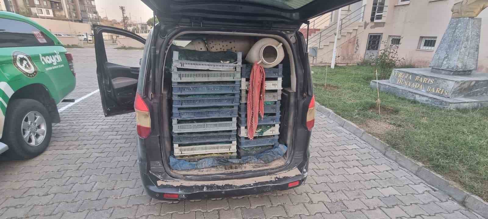 Doğubayazıt’ta kaçak kurbağa avcılığına jandarma operasyonu 