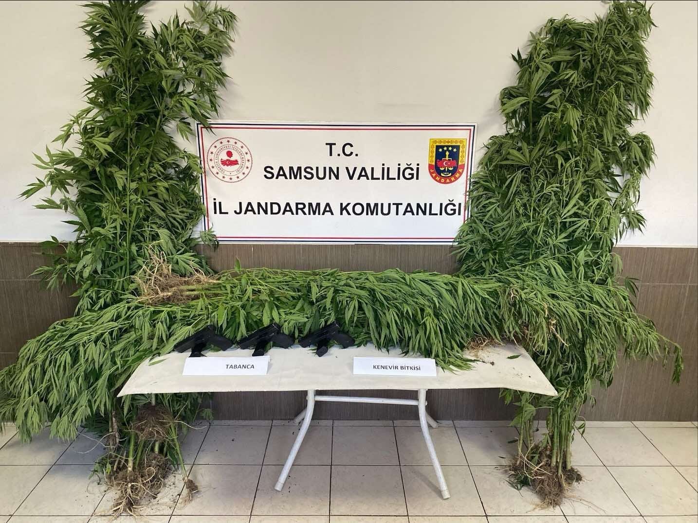Samsun’da jandarmadan silah ve uyuşturucu operasyonları: 4 gözaltı