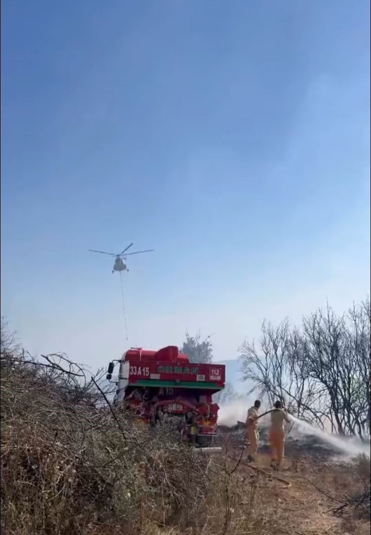 Mersin’de orman yangını havadan ve karadan müdahale ile söndürüldü