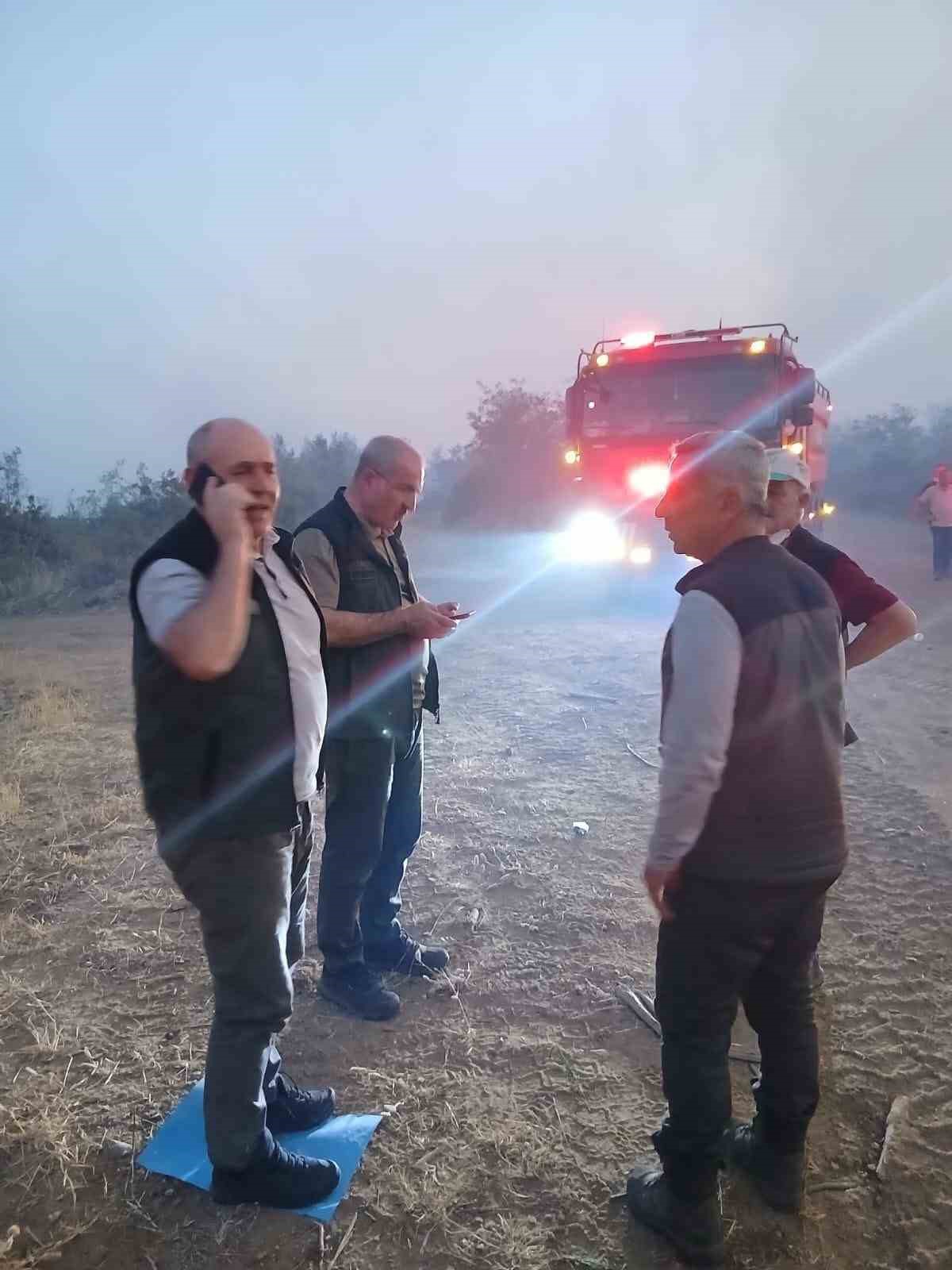 Çanakkale Valisi Toraman yangından etkilenen köyde incelemelerde bulundu 