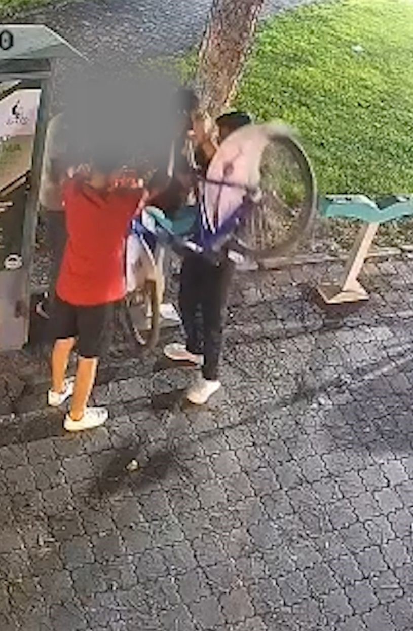 Bisiklet vandalları kamerada 