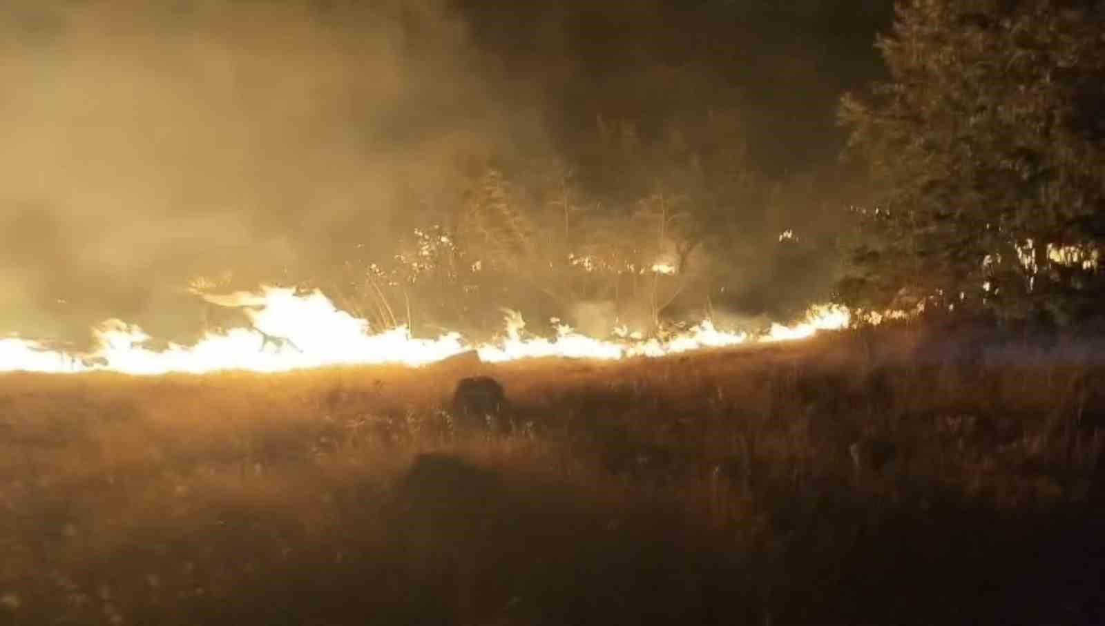Çöplükte başlayan yangın araziye sıçradı 