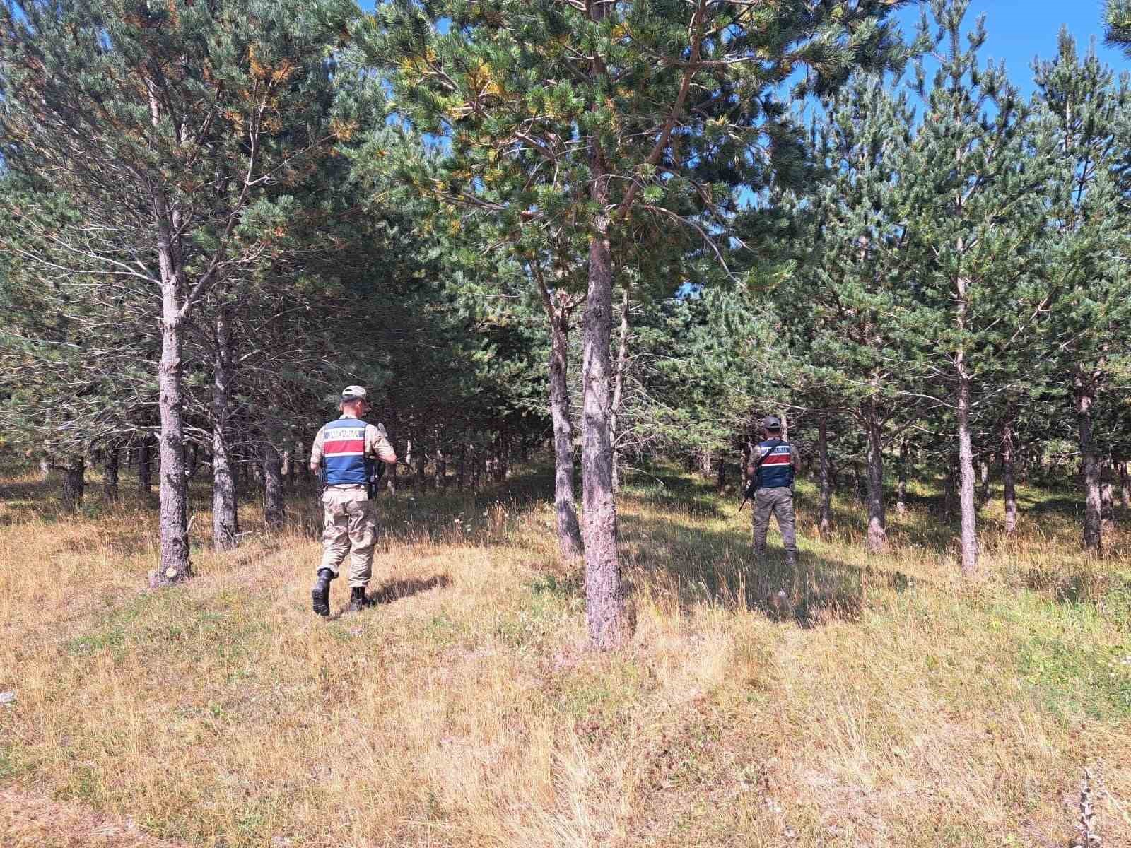 Ardahan’da jandarma ekipleri ormanlık alanlarda denetimlerini sıklaştırdı 