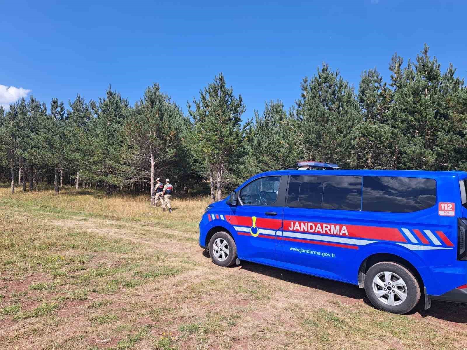 Ardahan’da jandarma ekipleri ormanlık alanlarda denetimlerini sıklaştırdı 