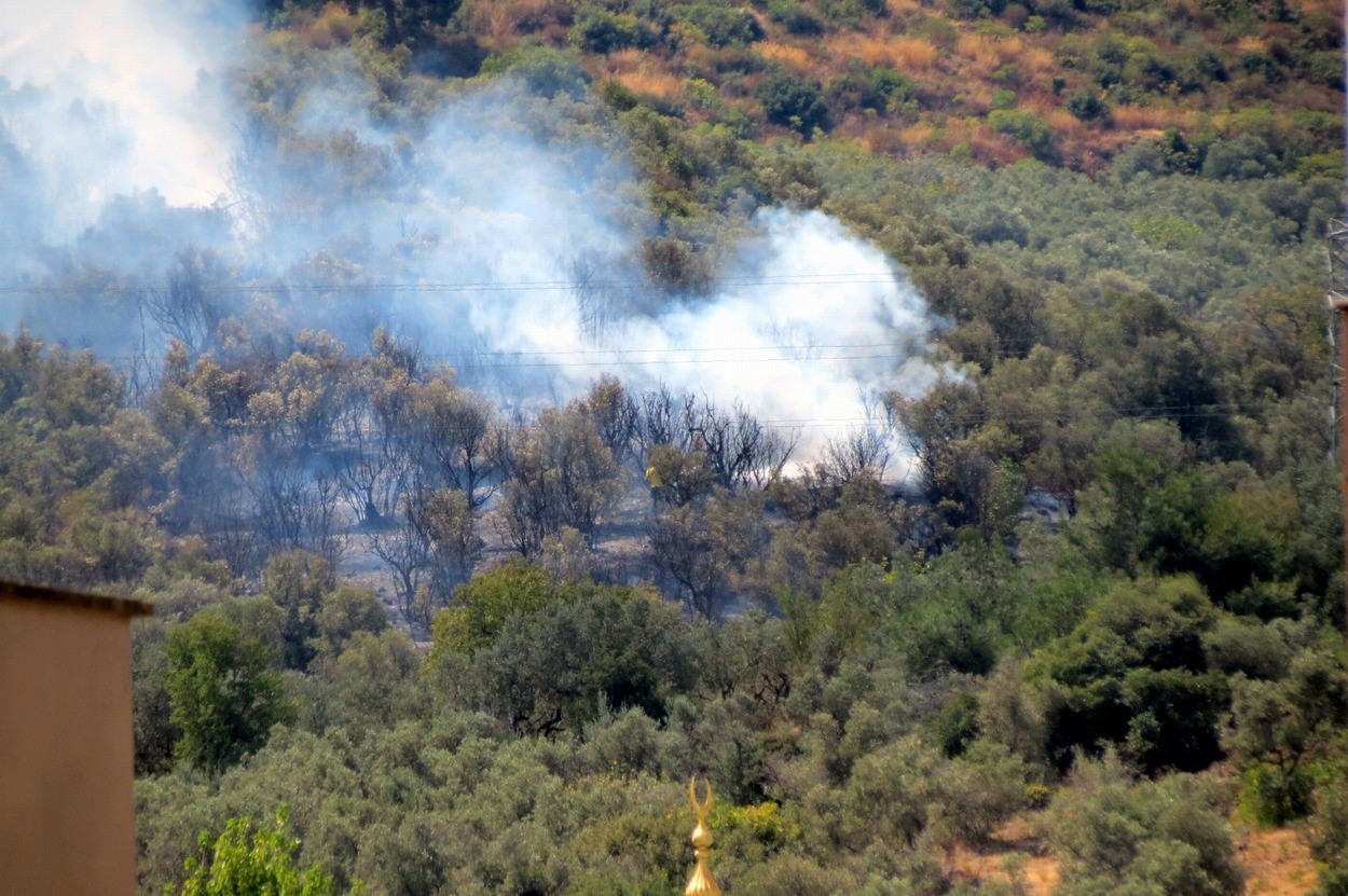 Mudanya’da korkutan yangın 