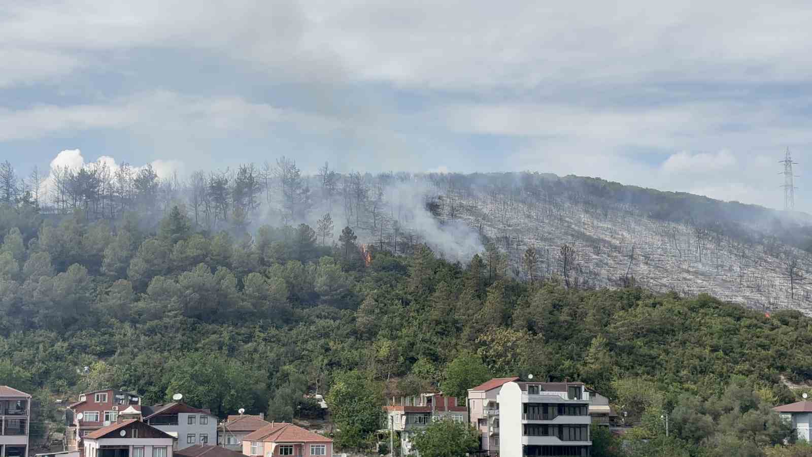 Kocaeli’de ağaçlık alana sıçrayan yangın kontrol altına alındı 
