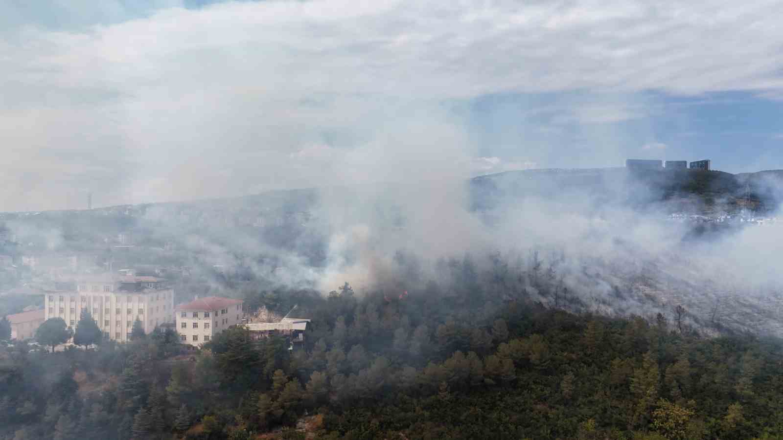Kocaeli’de ağaçlık alana sıçrayan yangın kontrol altına alındı 