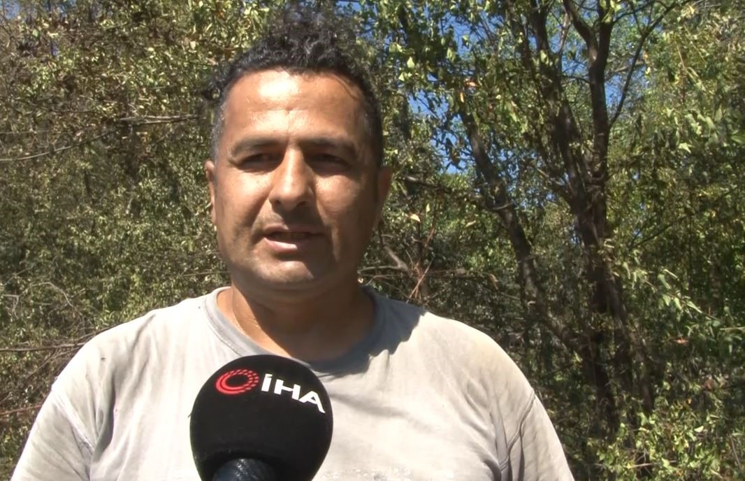 Sarıyer’de ormanlık alanda çıkan yangın kontrol altına alındı 