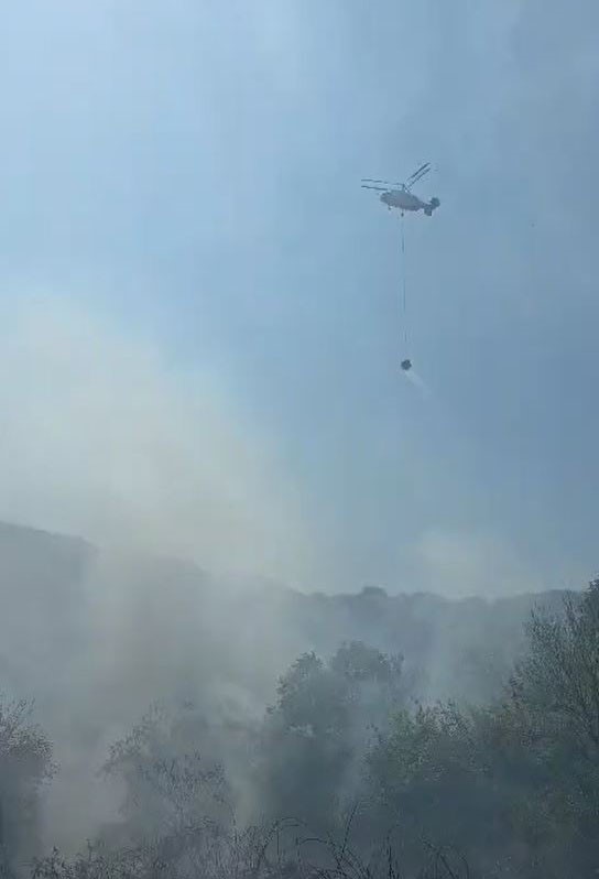 Sarıyer’de ormanlık alanda çıkan yangın kontrol altına alındı 