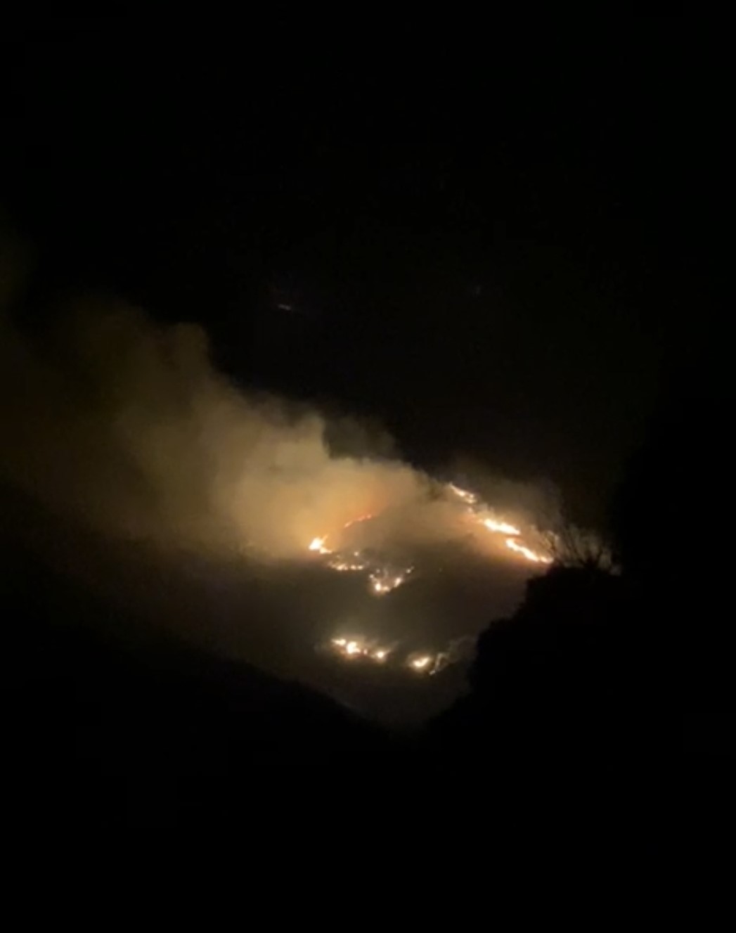 Marmara Adası’nda arazi yangını başladı 