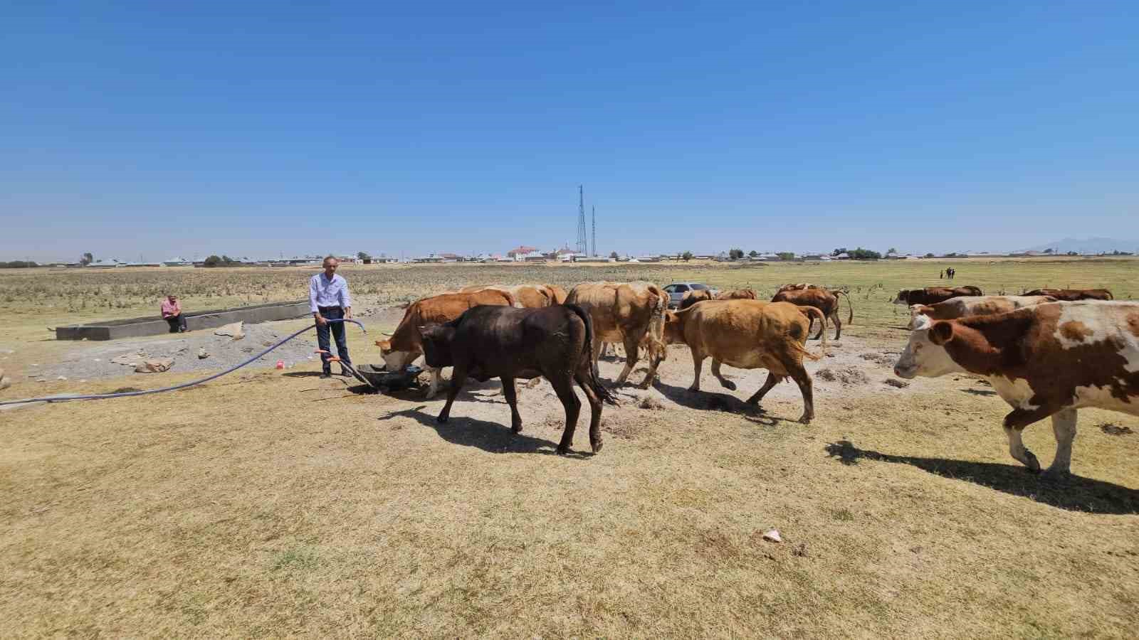 Kuş Cenneti Arin Gölü kurudu: Hayvanlar susuz kaldı 