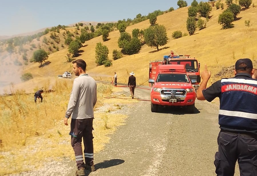 Pütürge’de orman yangını 