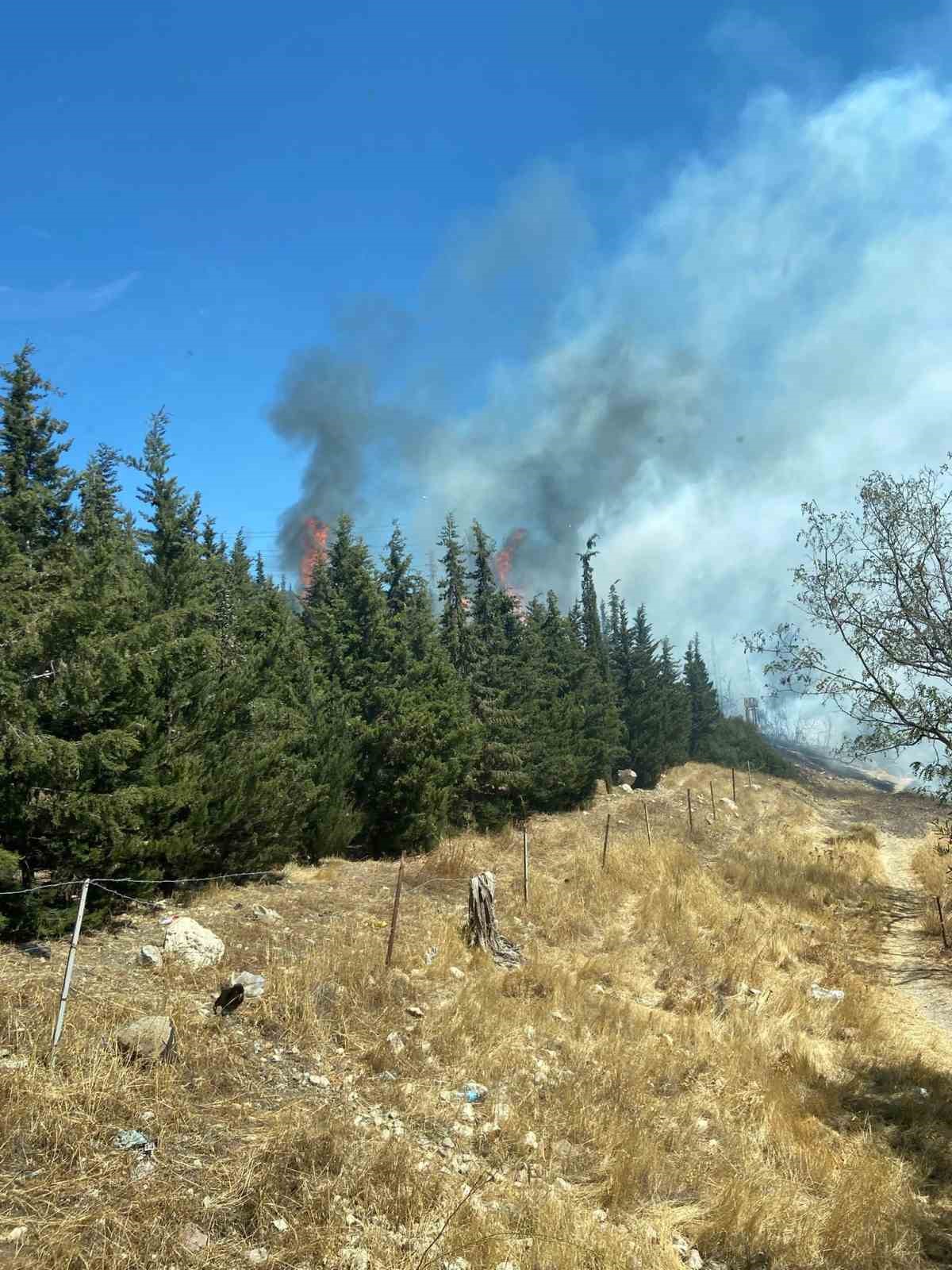 Aliağa’da ormanlık alanda çıkan yangın hızlı müdahale ile söndürüldü 