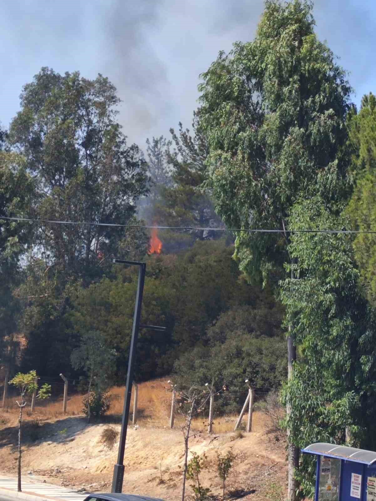 Aliağa’da ormanlık alanda çıkan yangın hızlı müdahale ile söndürüldü 