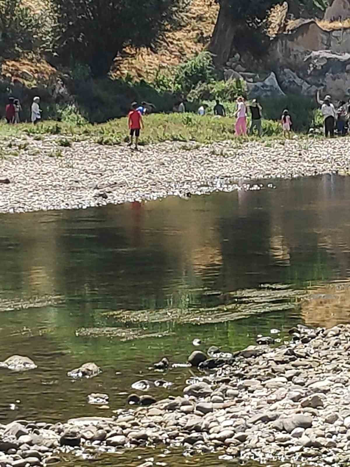 Kuzenini kurtarırken boğulma tehlikesi atlatan genç hayatını kaybetti 