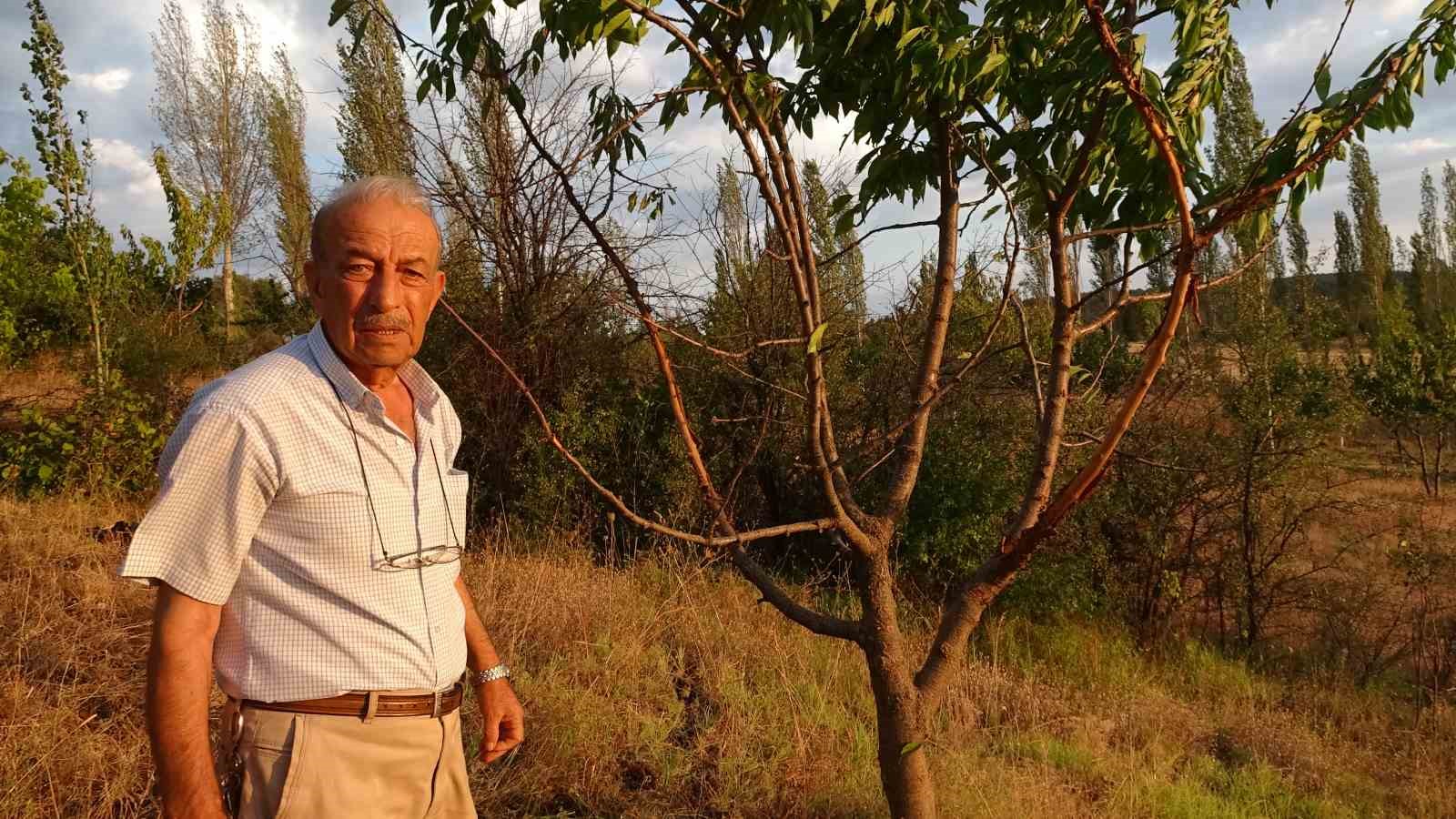 Bahçesine sürekli geyik giren vatandaş çaresiz 