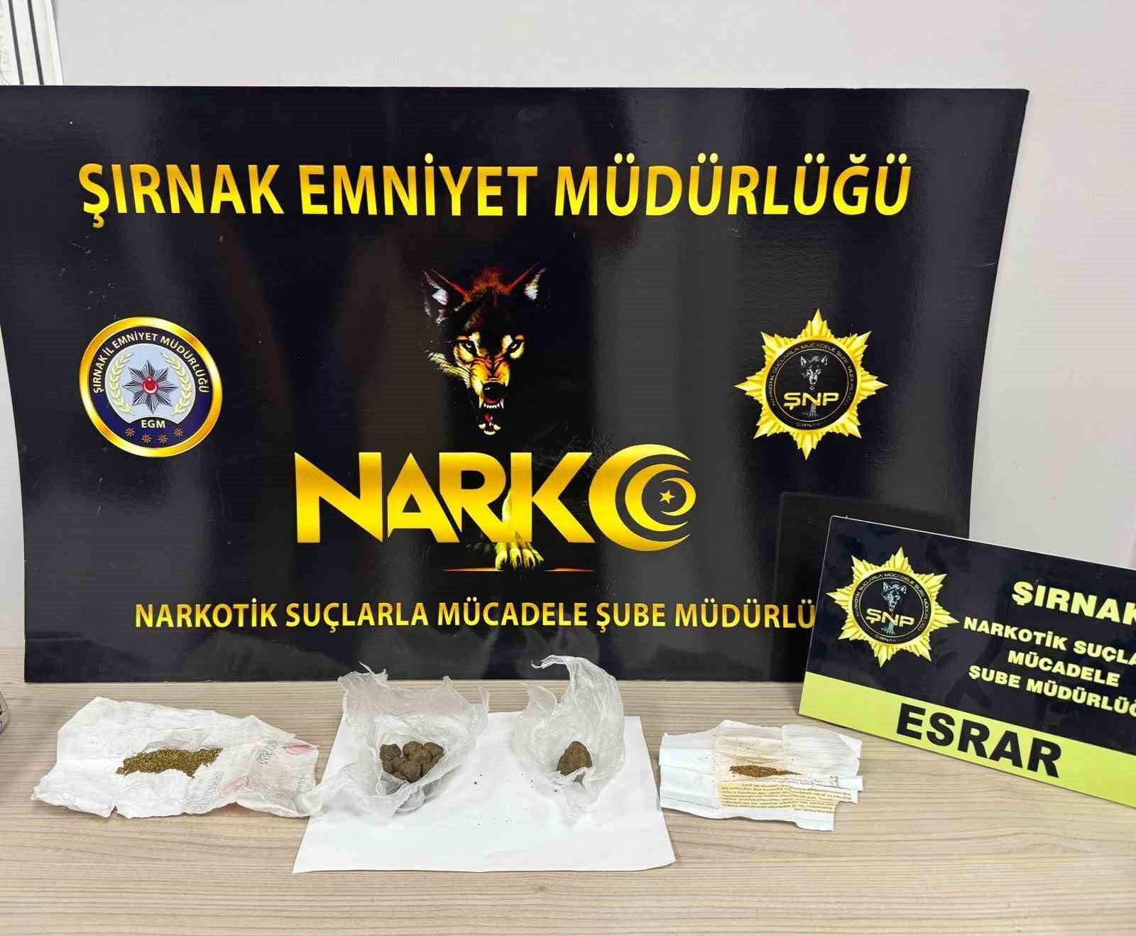 Şırnak’ta asayiş, kaçakçılık ve narkotik operasyonlarında 35 şüpheli hakkında yasal işlem yapıldı 