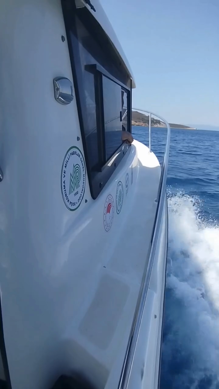 Ayvalık Adaları’nda deniz çayırları korunuyor 