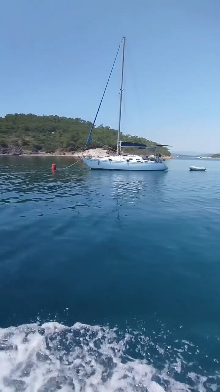 Ayvalık Adaları’nda deniz çayırları korunuyor 