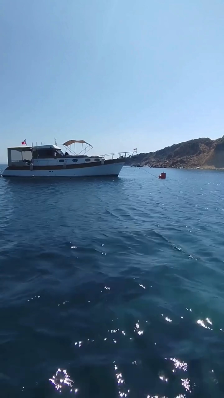 Ayvalık Adaları’nda deniz çayırları korunuyor 