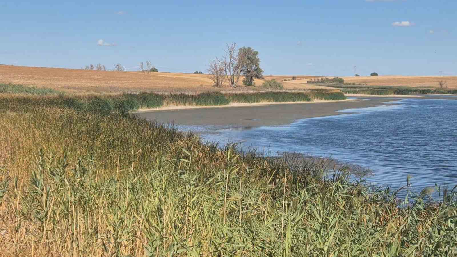 Tekirdağ’da Sarılar Göleti kuraklıktan nasibini aldı 