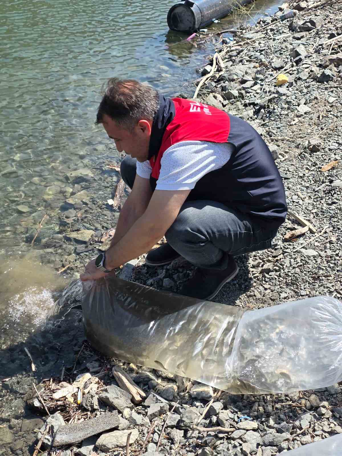 Beyhan Baraj Gölü’ne 50 bin yavru balık bırakıldı 