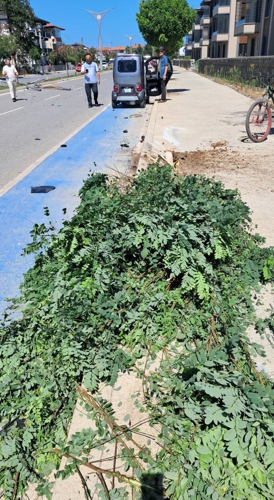 Önce aydınlatma direğine, sonra ağaca çarptı: 2 yaralı 