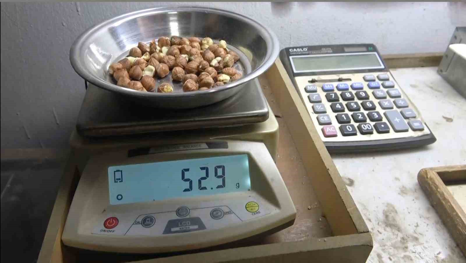 Giresunlu fındıkçıdan randımana göre fındık fiyatını hesaplayan yazılım 