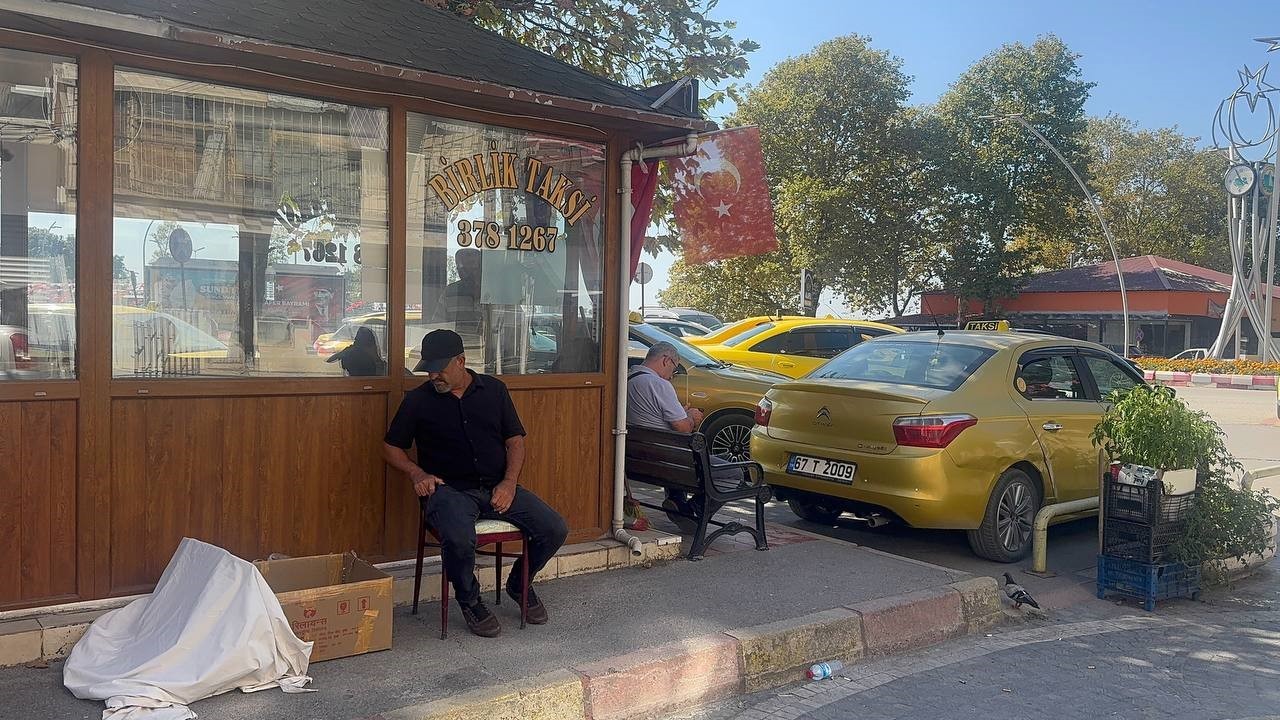 Durakta doğum yapan kedi ve yavrularına taksiciler sahip çıktı 