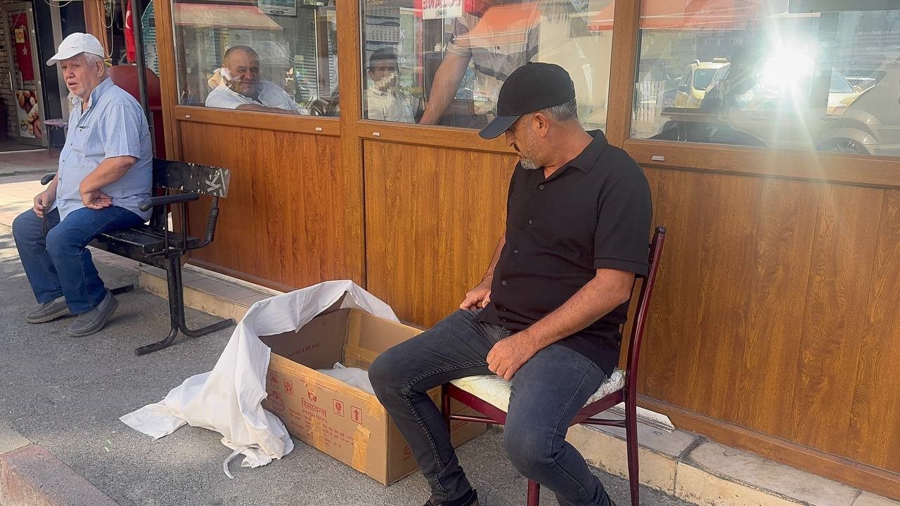 Durakta doğum yapan kedi ve yavrularına taksiciler sahip çıktı 
