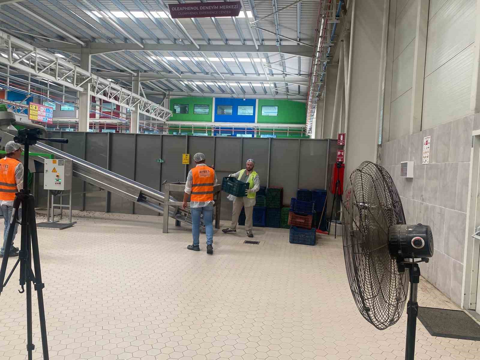 AYTO AYMES’te Zeytinyağı Üretim Operatörü sınavları devam ediyor 
