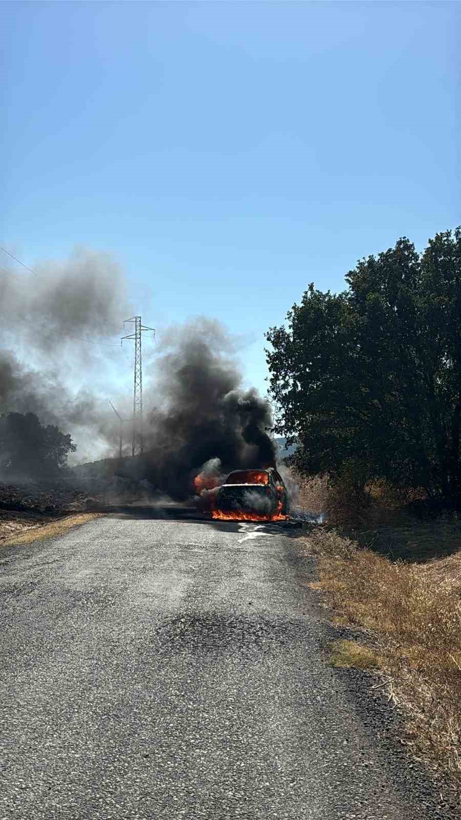 Balıkesir’de araç yangını ormana sıçramadan söndürüldü 