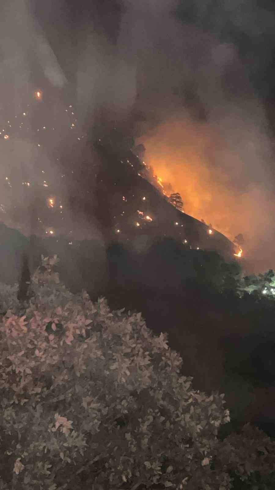 Buldan’da yangını söndürmek için bölgede bulunan dozer operatörü yaralanarak hastaneye kaldırıldı 