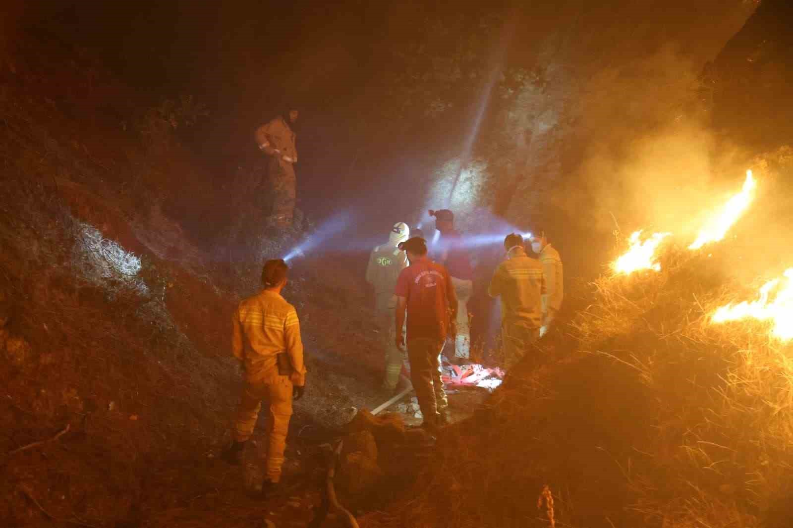 Denizli’den Aydın’a sıçrayan yangında müdahale çalışmaları sürüyor 
